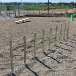 מתקן לכלבים - מעבר בין עמודים ממתכת