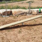 מתקן לכלבים - עלה ורד מעץ