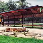 פרגולות וסככות צל - פרגולה מעץ ומתכת - זמיר