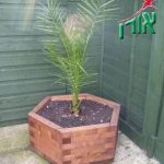 אדניות עץ לגינה - אדנית עץ משושה