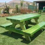 שולחן פיקניק מעץ גושני