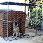 ריהוט לפארק כלבים - כלוב לכלבים