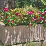 אדנית מבטון