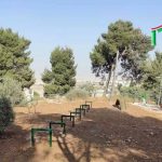 מתקן לכלבים - דלגיות ממתכת