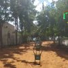 ⁦מתקן לכלבים - טבעות קפיצה⁩ – תמונה ⁦2⁩